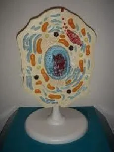 Maatskappy 33 beeld REBOCHEM