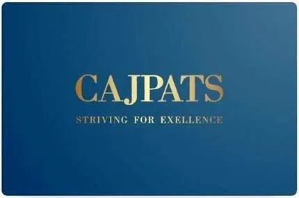 Business 2 image CAJPATS - PROFESSIONAL ACCOUNTANTS (SA)