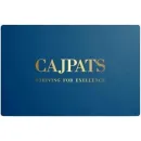 CAJPATS - PROFESSIONAL ACCOUNTANTS (SA) Independant Reviews in Randburg GP
