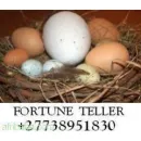 FORTUNE TELLER AND SPIRITUAL HEALING Voodoo Spells in Pretoria GP