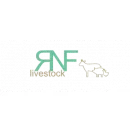 OSTRICH CHICKS & FERTILE EGGS FOR SALE WHATSAPP +27734531381 Poultry Supplies in Camelot NC