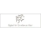 STYLED FOR EXCELLENCE HAIR