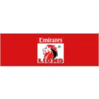 GOLDEN LIONS RUGBY UNION