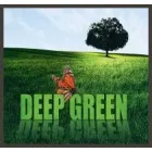 DEEP GREEN LANDSCAPING