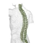 CENTURION CHIROPRACTOR - DR. JACQUES BEZUIDENHOUT