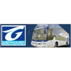 GREYHOUND